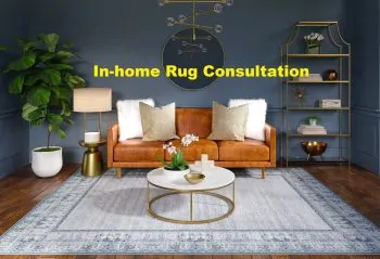 in-home-Rugconsultation Rugvite